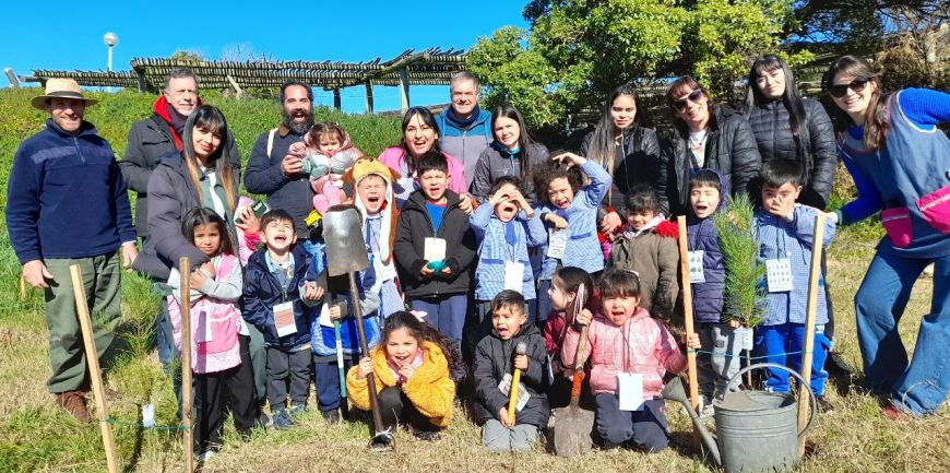 NACE UN NUEVO BOSQUE DE 150 PINOS MARINOS EN LAS PLAYAS DEL SUR